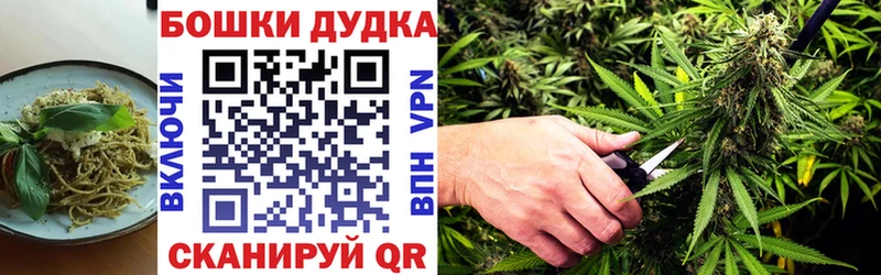 Canna-Cookies марихуана  Ессентуки 