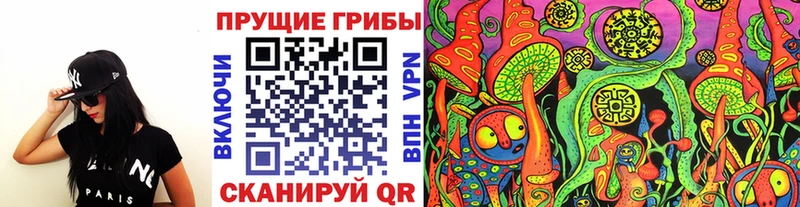 Псилоцибиновые грибы прущие грибы  хочу   ссылка на мегу как зайти  Ессентуки 